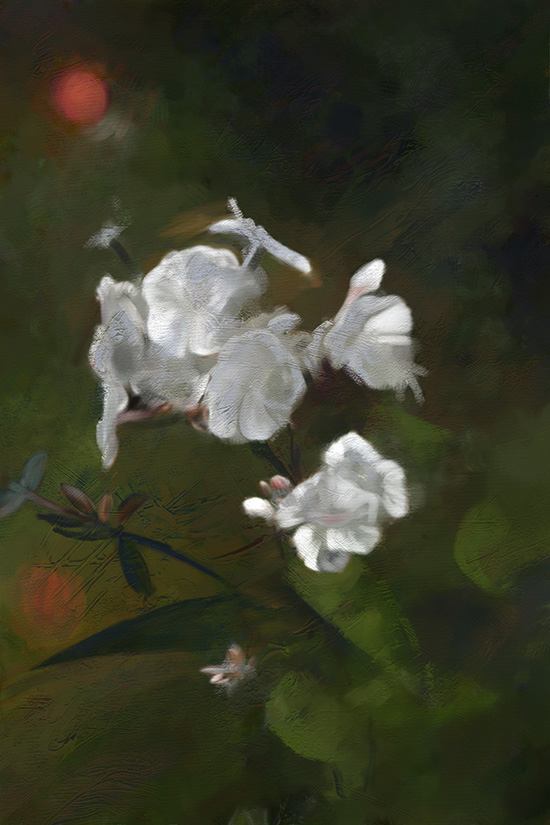 digital painting of flowers